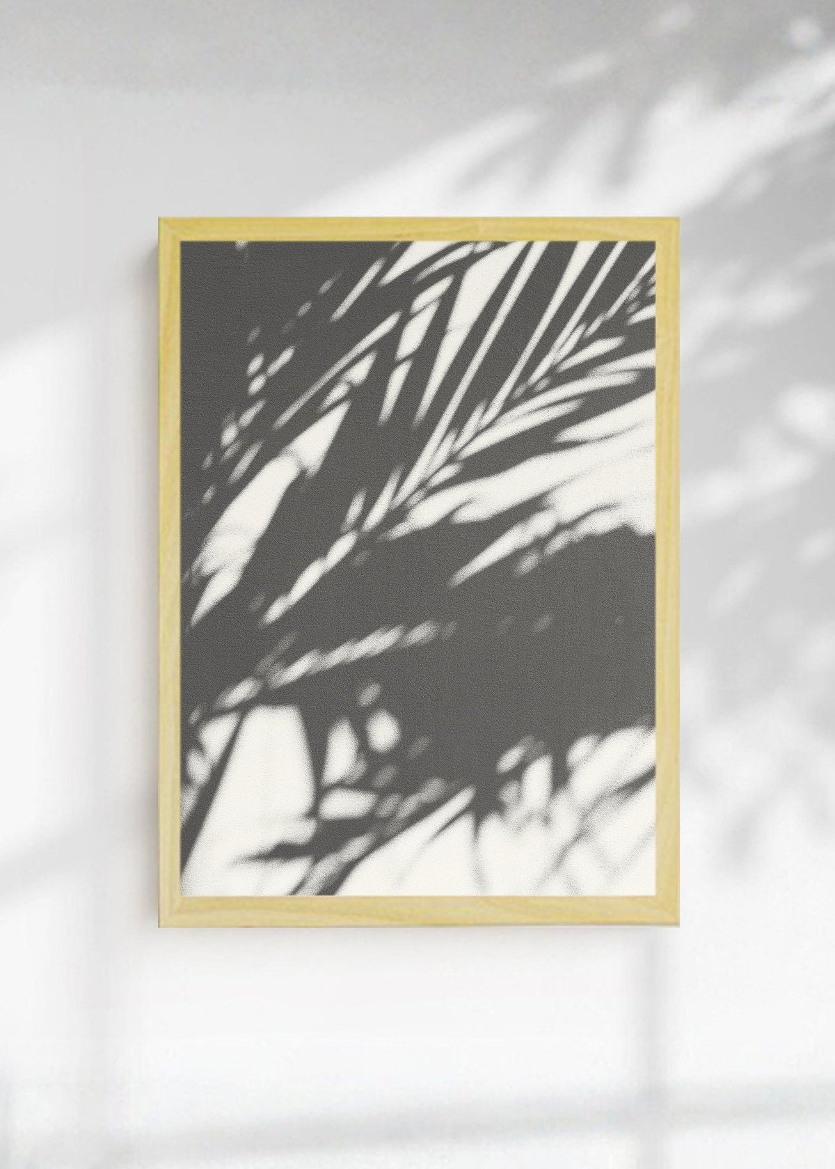Cuadro Decorativo Playa, Sombra Palmera Blanco Negro