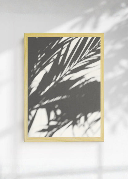 Cuadro Decorativo Playa, Sombra Palmera Blanco Negro