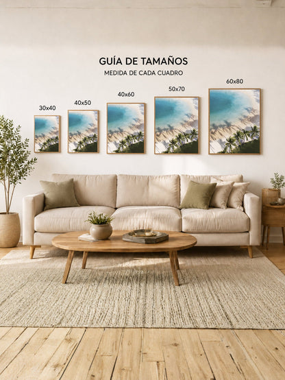 Cuadro Decorativo Playa, Sombras Palmeras Aérea