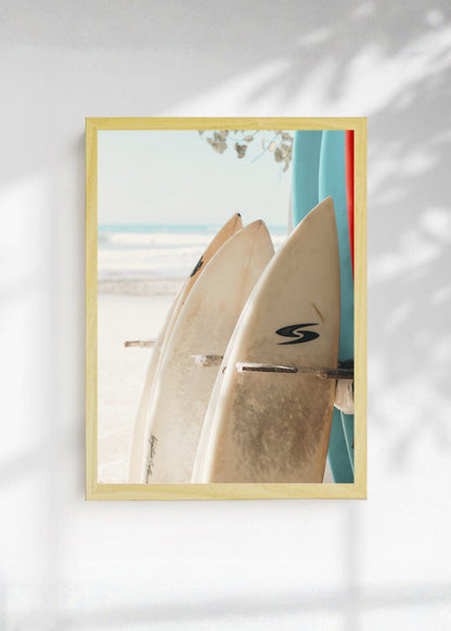 Cuadro Decorativo Playa, Tablas Gaviota Arena
