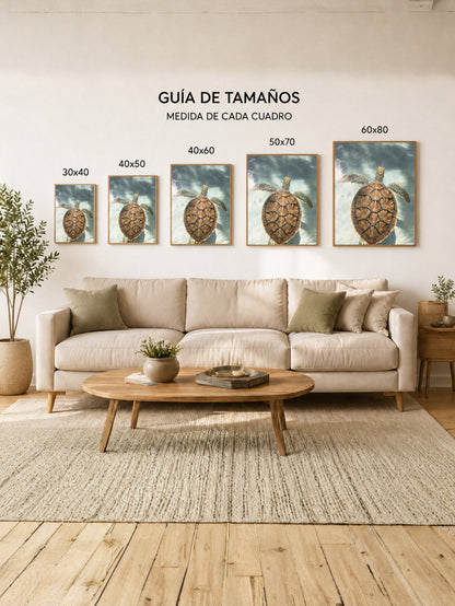 Cuadro Decorativo Playa, Tortuga Marina Agua