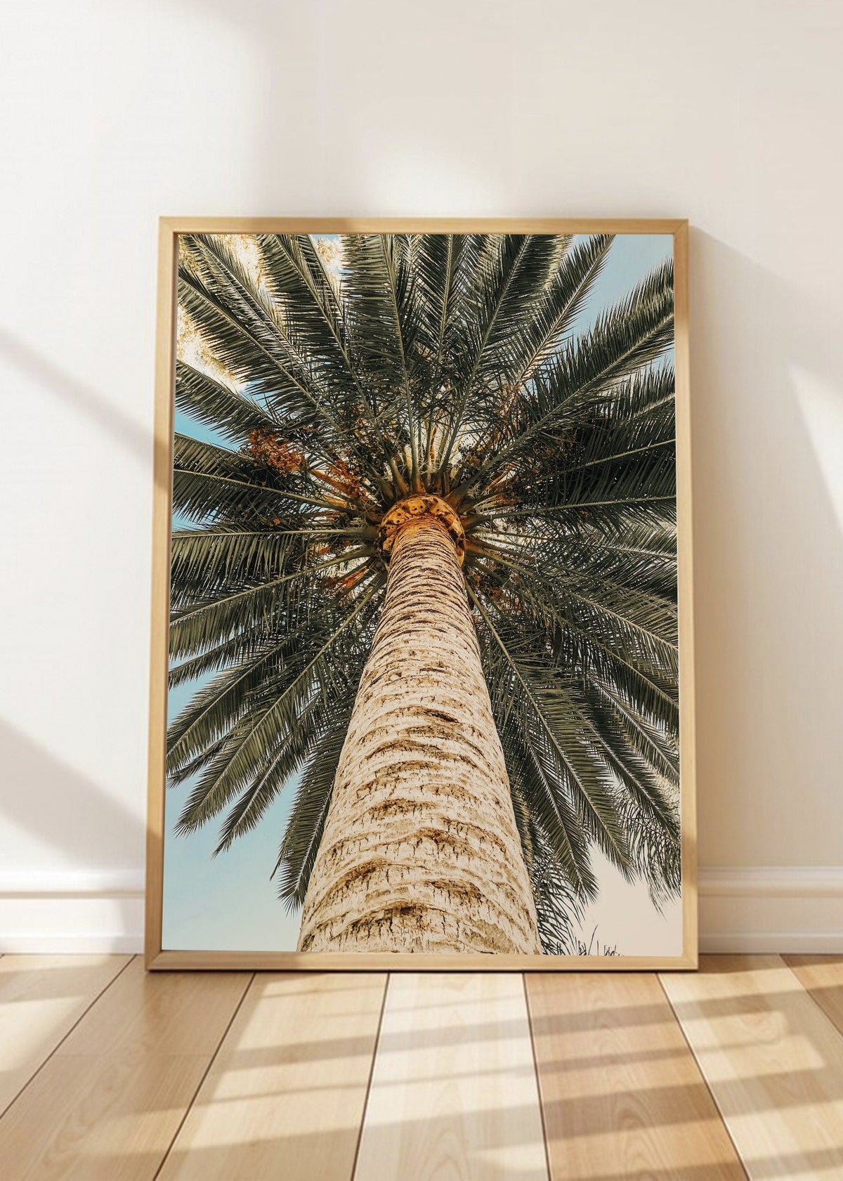 Cuadro Decorativo Playa, Tronco Palmera Abajo