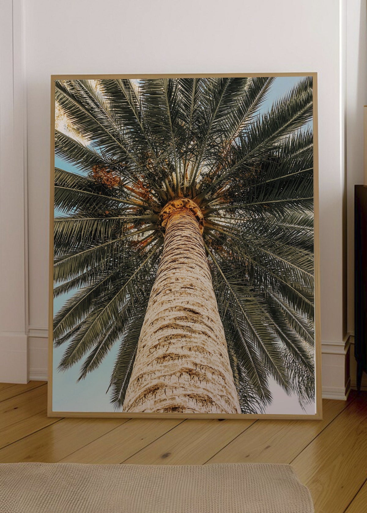 Cuadro Decorativo Playa, Tronco Palmera Abajo