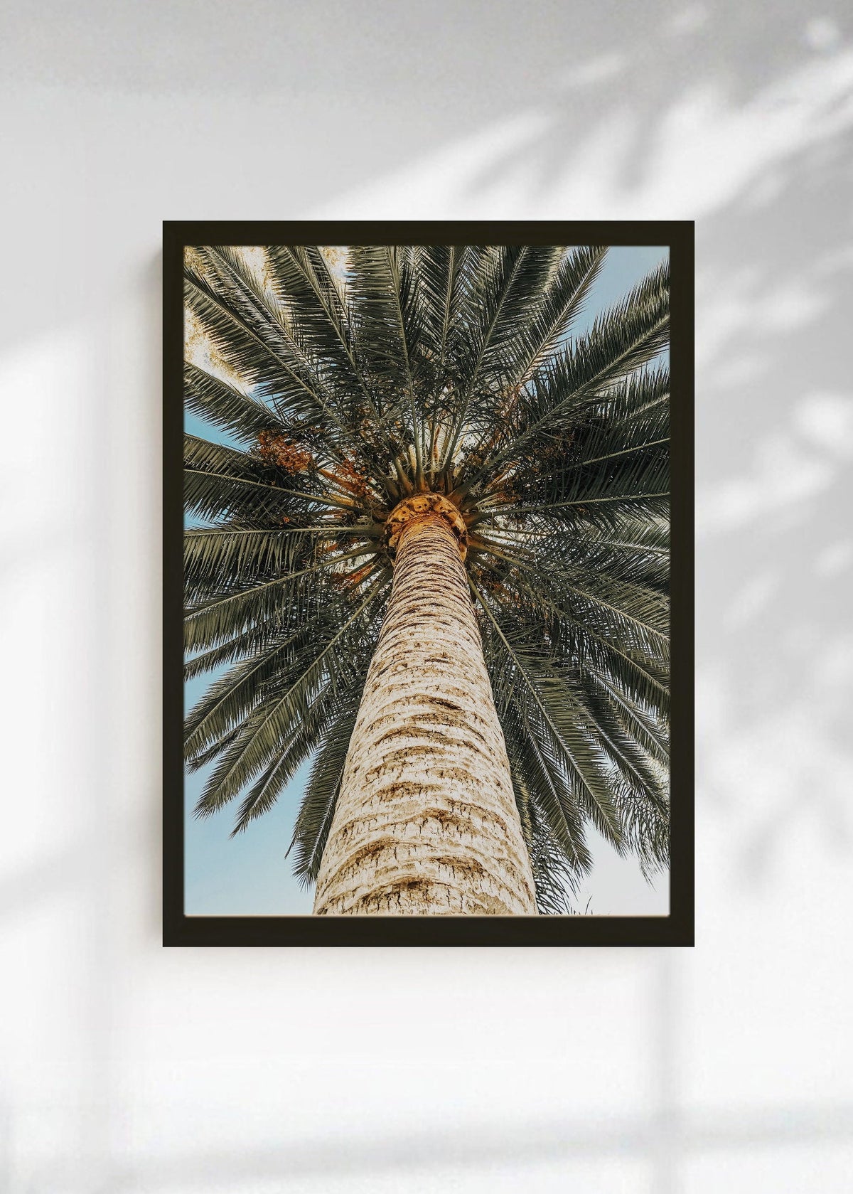 Cuadro Decorativo Playa, Tronco Palmera Abajo