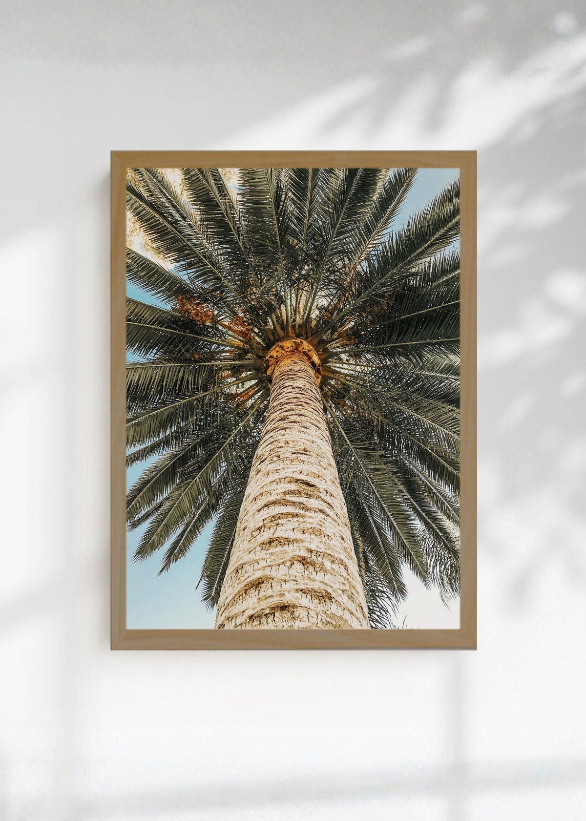 Cuadro Decorativo Playa, Tronco Palmera Abajo
