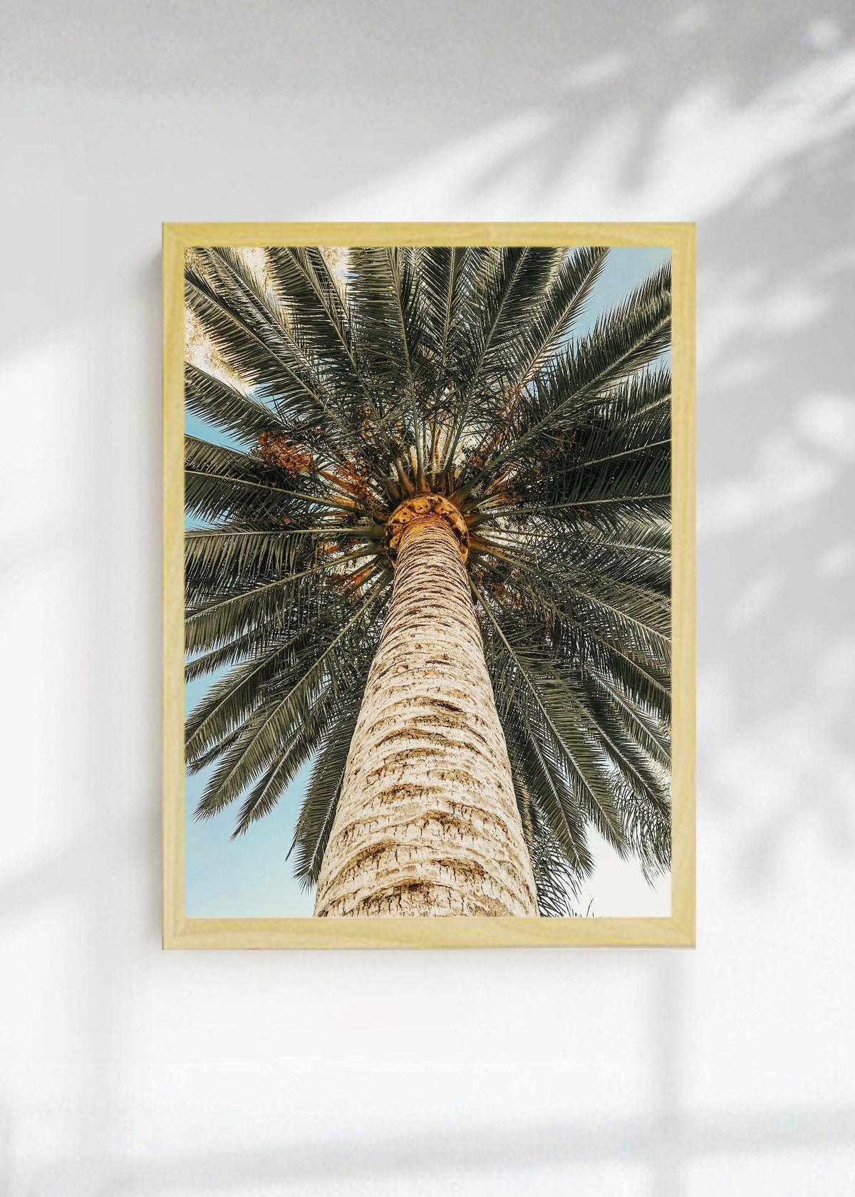 Cuadro Decorativo Playa, Tronco Palmera Abajo