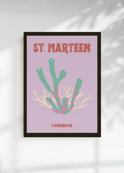 Cuadro Decorativo Travel, St. Maarten, Caribe, Coral Menta