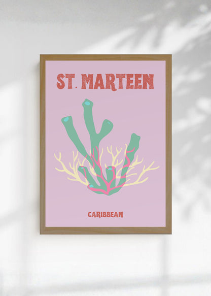 Cuadro Decorativo Travel, St. Maarten, Caribe, Coral Menta