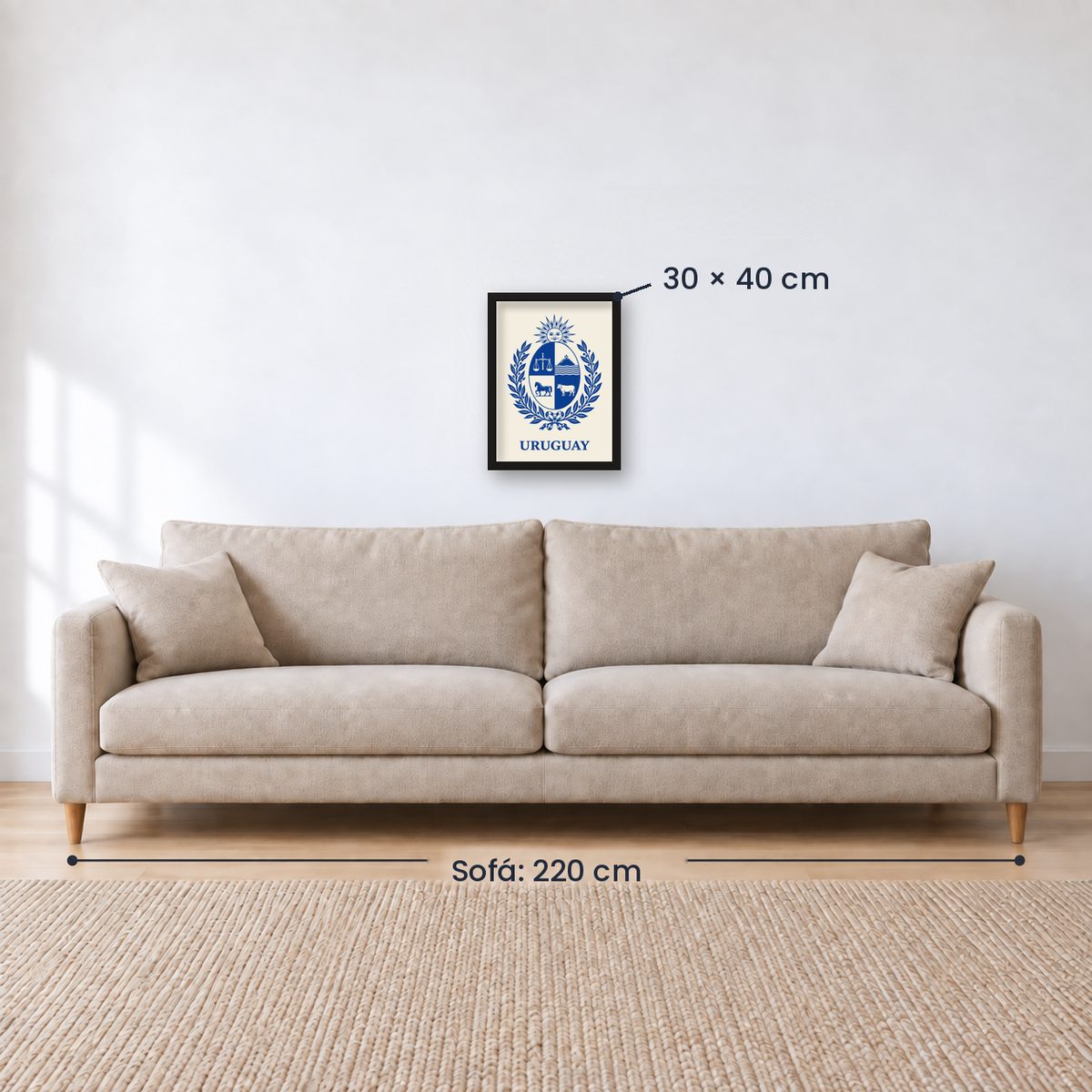 Cuadro Decorativo Uruguay Escudo
