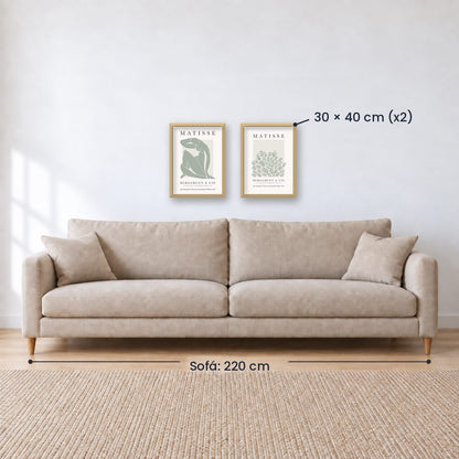Set x2 Cuadros Decorativos Matisse, nature