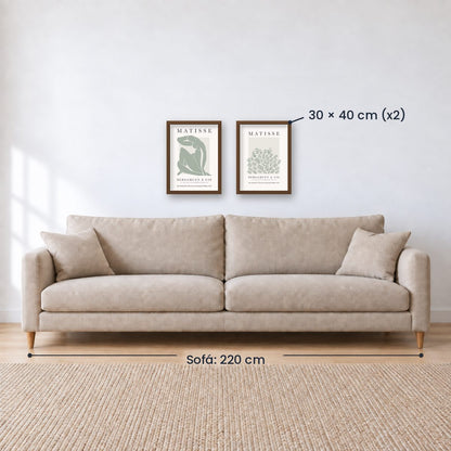 Set x2 Cuadros Decorativos Matisse, nature