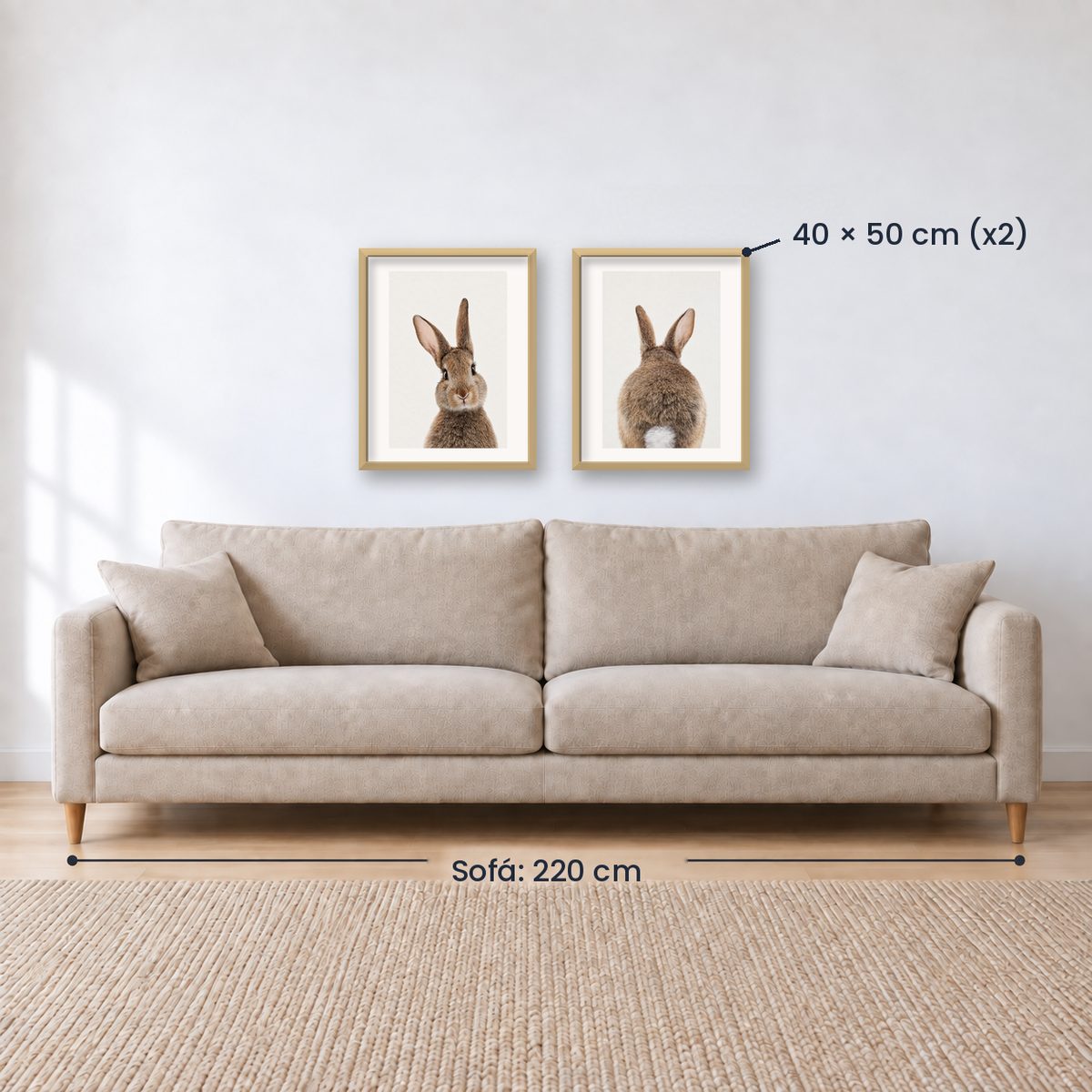Set x 2 Cuadros Infantiles, Conejito