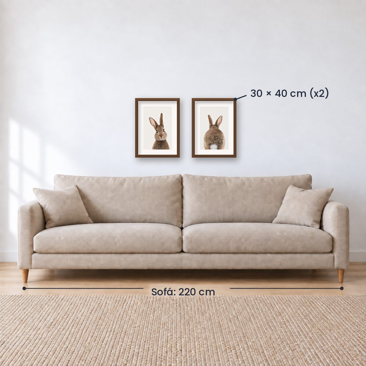 Set x 2 Cuadros Infantiles, Conejito