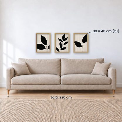 Set x3 Cuadros Abstractos, blanco y negro, flores