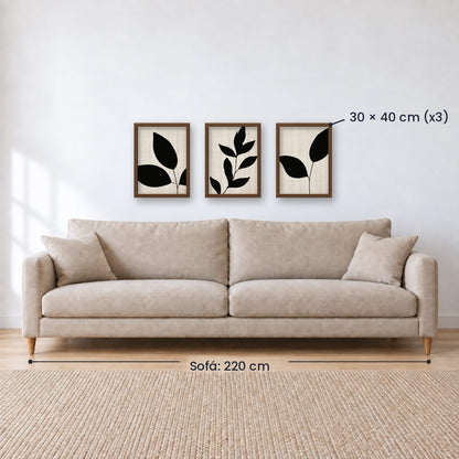 Set x3 Cuadros Abstractos, blanco y negro, flores