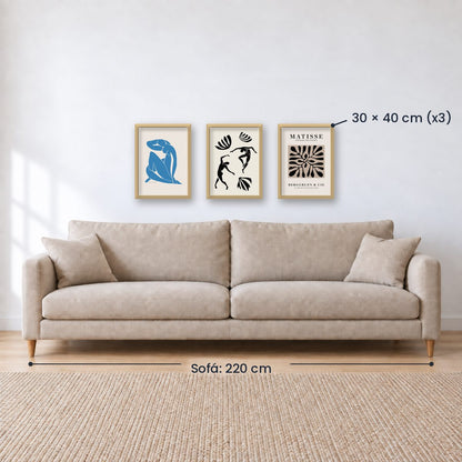 Set x3 Cuadros Decorativos de Matisse