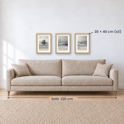 Set x3 Cuadros Decorativos , Roca , Pajaros
