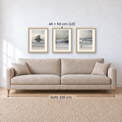 Set x3 Cuadros Decorativos , Roca , Pajaros