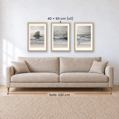 Set x3 Cuadros Decorativos , Roca , Pajaros