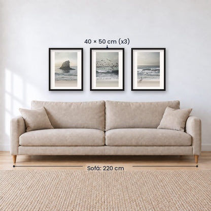 Set x3 Cuadros Decorativos , Roca , Pajaros