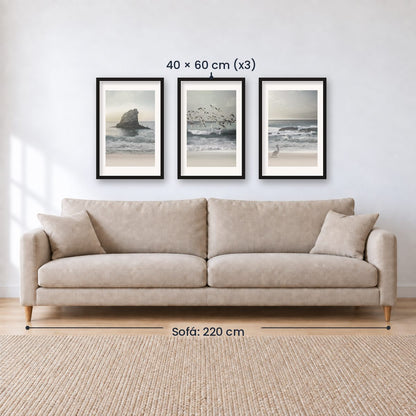Set x3 Cuadros Decorativos , Roca , Pajaros