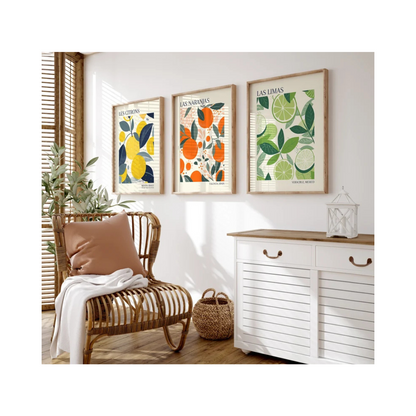 Set x3 Cuadros Diseños Botánico Cítricos
