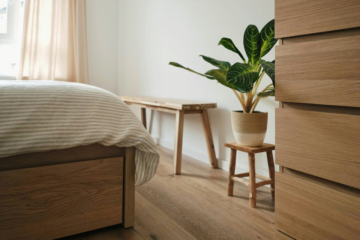 Imagen destacada blog cama