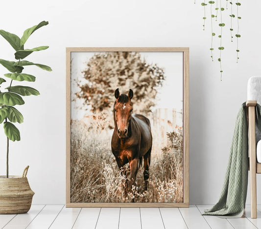 Cuadro Decorativo Caballos, Amantes de los Caballos XXVIII Marco Natural PROMO 2X1 PROMO 2X1