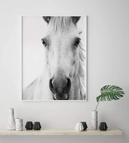 Cuadro Decorativo Caballos, Amantes de los Caballos III