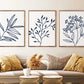 Set x3 Cuadros Flores, Acuarelas, Azul