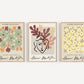 Set x3 Cuadros Abstractos, Matisse, colores