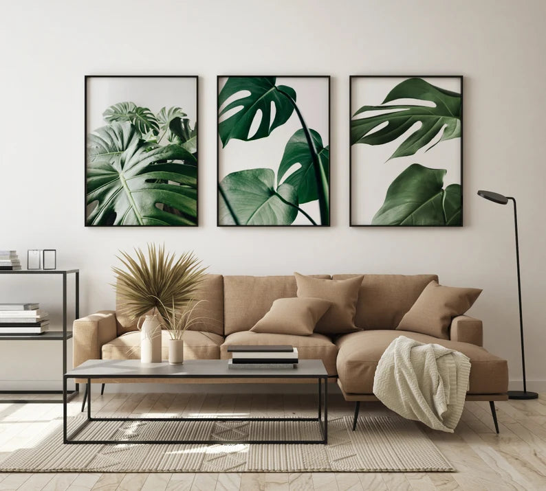 Set x3 Cuadros Decorativos Botánicos, Plantas, Botanic Vibes IV