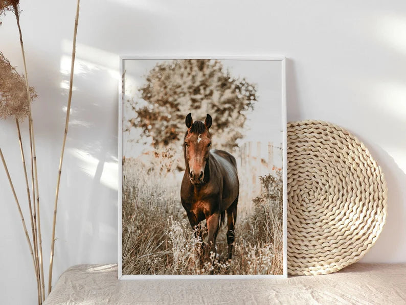 Cuadro Decorativo Caballos, Amantes de los Caballos XXVIII