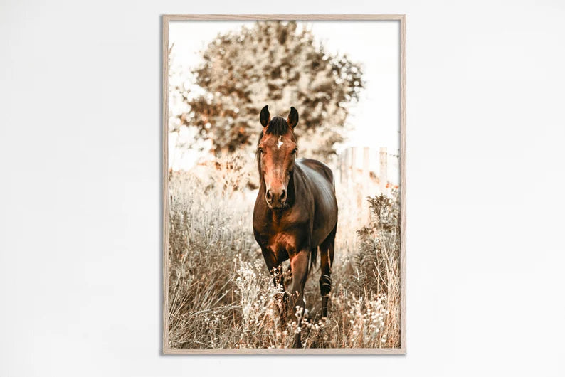 Cuadro Decorativo Caballos, Amantes de los Caballos XXVIII