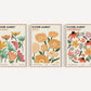 Set x3 Cuadros Abstractos, Flower Market, Colores