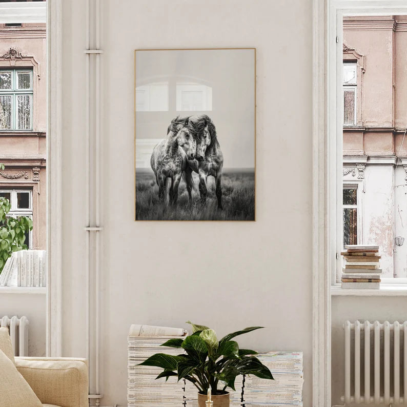 Cuadro Decorativo Caballos, Amantes de los Caballos XVIII