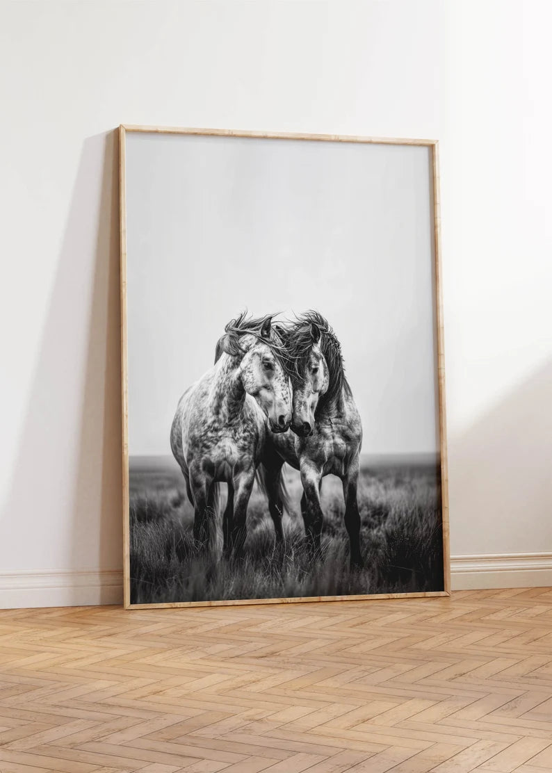 Cuadro Decorativo Caballos, Amantes de los Caballos XVIII