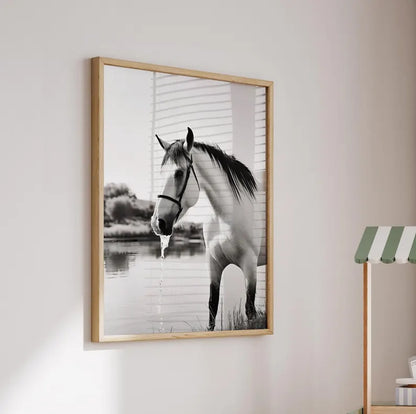 Cuadro Decorativo Caballos, Amantes de los Caballos XX