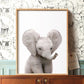 Cuadro Decorativo Infantil , Animales